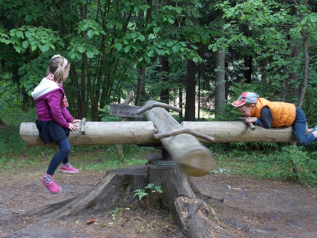Sauleskalns Zakumuiza